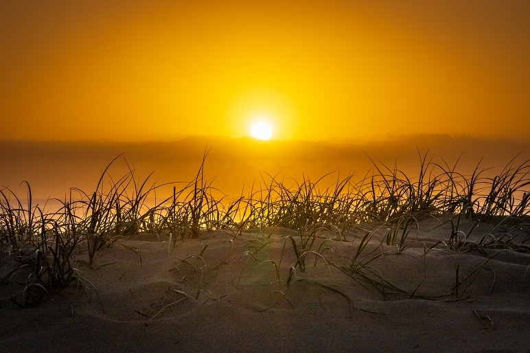 последний случай компании о Кожаная куртка на люди джак варианта моды кожаной куртки ПУ куртки отворотом пальто новых людей 2018 осеней/зимы тонкий корейский