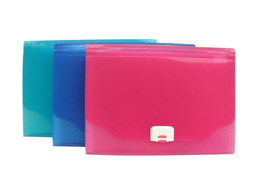 Pink plastic expanding Plastic Document Folder , A4 size 13 Pockets