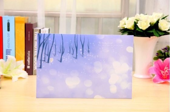 A4 Size Plastic File Folder Printed Colorful Document Bag With a Plastic Lock