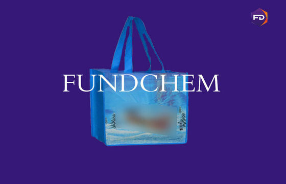 Handle Non Toxic Biodegradable Bags For Lady Shopping / Packing