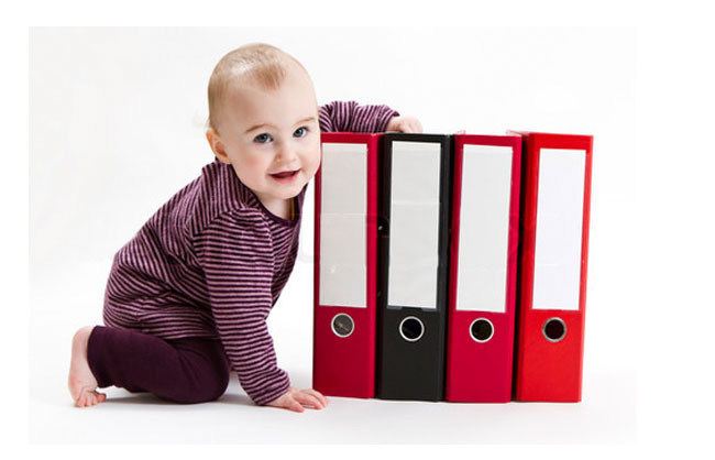 A4 red / green hard cover PP meeting File Folder Document clip inserted