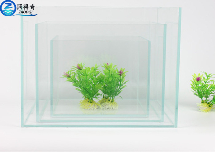 Durable Clear Glass Square Fish Tank / Aquarium Fish Tank for Commercial Decoration